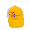 Zasberry Monogram Logo Suede Face Cap