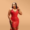 Zasberry Red Ruby Lace Dress - Image 2